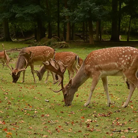 Vejle City Camping Campingplads