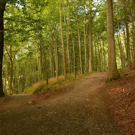 Vejle City Camping 3*